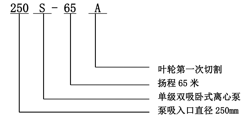 雙吸泵